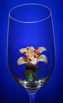 Glass on a Blue background Stock Photos