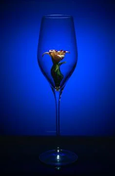 Glass on a blue background Stock Photos