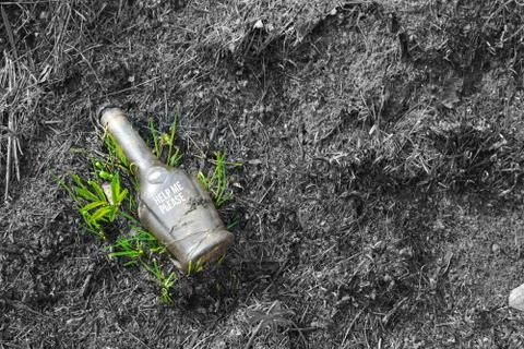 Glass bottle in the forest Environment problem concept Stock Photos