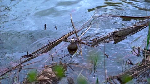 Glass bottle garbage floating in polluted river water causing environmental 스톡 동영상 341555019
