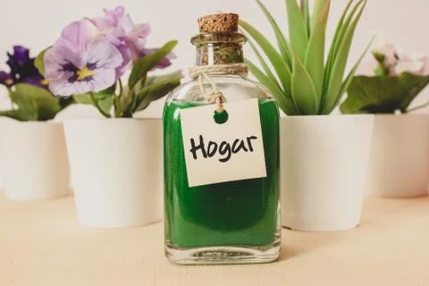 Glass bottle with green liquid and label Hogar written in Spanish with artifi Stock Photos