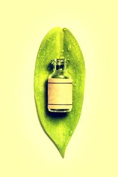 Glass bottle Stock Photos