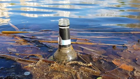 Glass bottle in the river Stock Footage 89003043