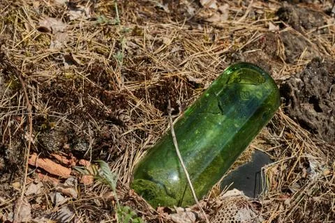 Glass bottle thrown in the forest. The problem of ecology and nature pollutio Stock Photos