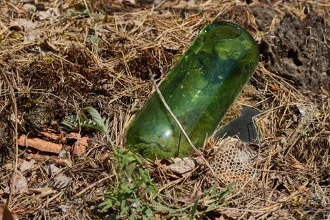 Glass bottle thrown in the forest. The problem of ecology and nature pollutio Stock Photos