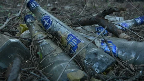 Glass Bottles Trash In The Forest. Stock Footage 143699344