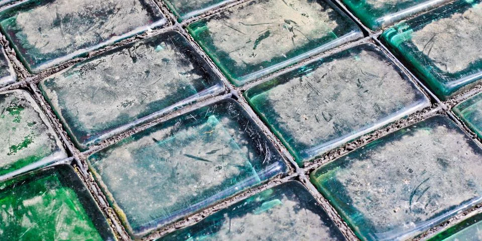 Glass bricks Stock Photos