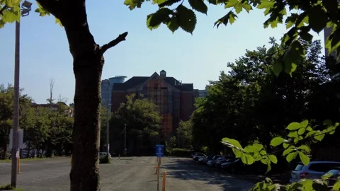 Glass building with empty parking lot in front Stock-Footage 314734426