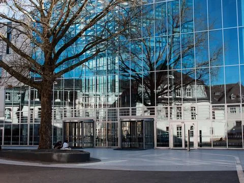 Glass Building with Tree Reflection and Revolving Doors 스톡 사진