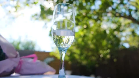 A glass of champagne in the sun Stock Footage 165483445