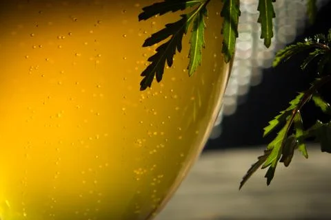 Glass with cold beer Stock Photos