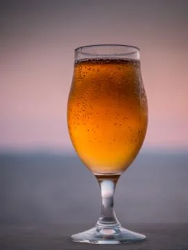 Glass of cold beer Stock Photos