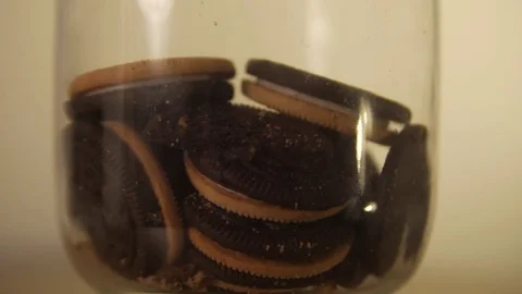 Glass cookie jar Stock Footage 76250548