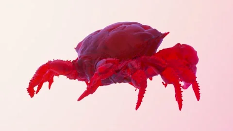 Glass Crab Vídeos de archivo 152517643