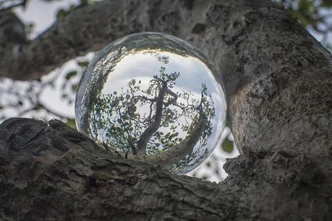 Glass crystal ball. Photos