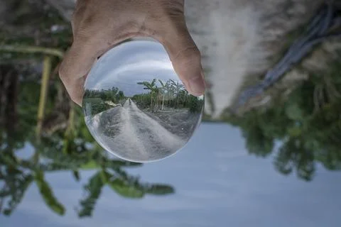 Glass crystal ball. Photos