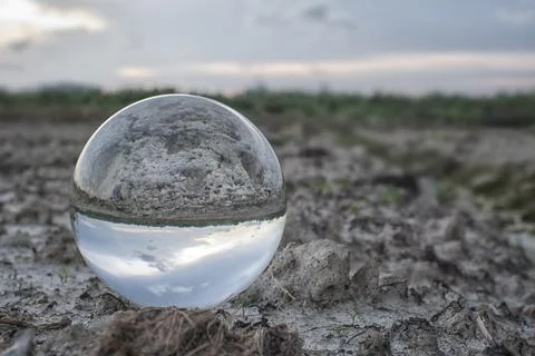 Glass crystal ball. Photos