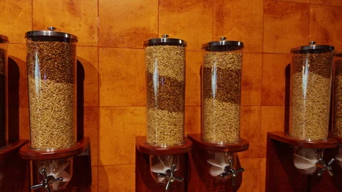 Glass Cylinders Filled With Different Barley Grains Mounted on Wooden Holders Ag Stock Footage 323675826