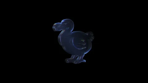 Glass dodo bird rotating on black background Stock Footage 317222001