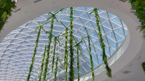 A glass dome ceiling with a geometric design, adorned with hanging green plants Video stock 297713812