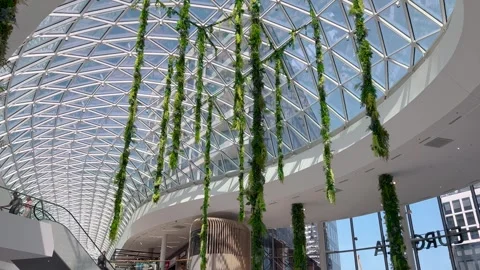 A glass dome ceiling with a geometric design, adorned with hanging green Stock Footage 300039811