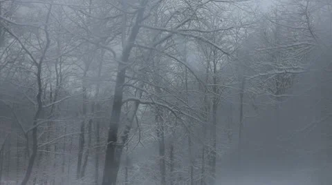 Glass Door Opens to Winter Scene Stock Footage 10708663