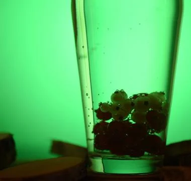 Glass with a drink. Stock Photos