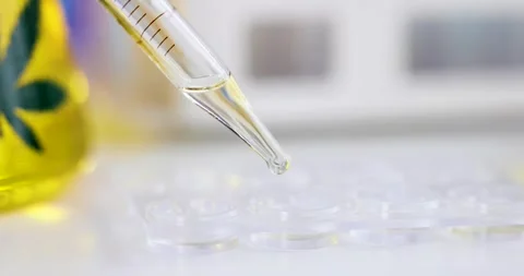 Glass dropper with drops of liquid under well plate near beaker Stock Footage 317165367