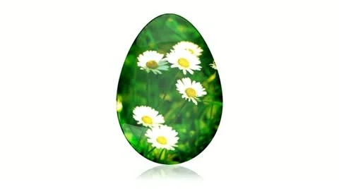Glass Easter Egg with Camomiles Stock Footage 21264534