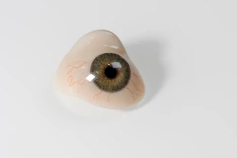 Glass eye prosthetic or Ocular prosthesis with shadow on white Foto stock