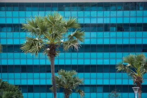 Glass facade Foto stock