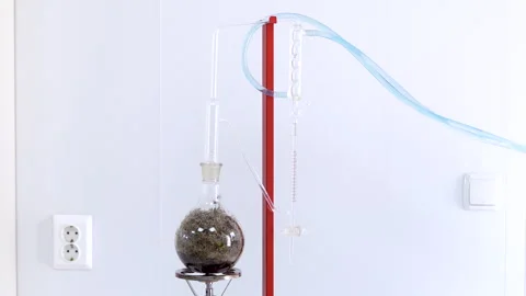 Glass Flask With Lavender sprigs Inside Laboratory Setup And Tubing For Stock Footage 328755509
