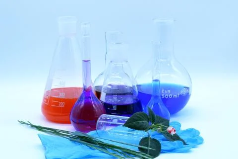 Glass flasks with a multi-colored liquid. Blue rubber gloves and balsam flower. 스톡 사진