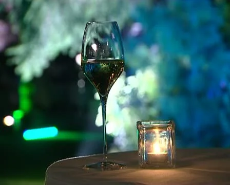 Glass Stock Footage 12260592