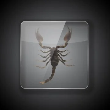 Glass Frame on dark Background with scorpion.  Illustration Stock Illustration