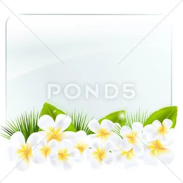 Glass frame with frangipani Stock Illustration