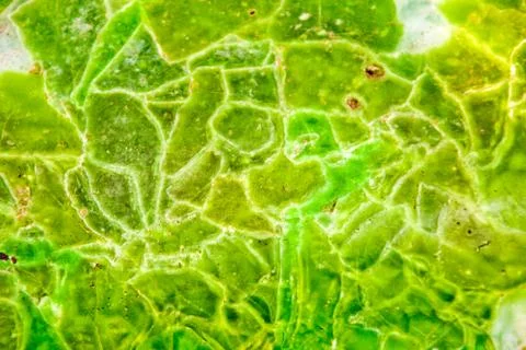 Glass fusing texture 写真素材