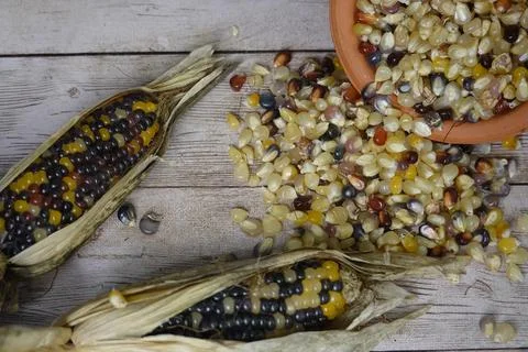 Glass gem corn kernels spilling from terracotta bowl onto rustic wooden table Stock Photos