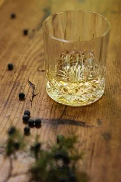 A glass of gin Stock Photos