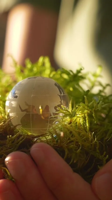 A glass globe of Earth in hands -a a powerful symbol of ecology and nature Stock Footage 320170866