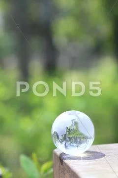 Glass globe in a forest Stock Photos