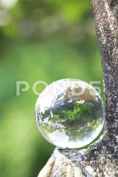 Glass globe in a forest Stock Photos