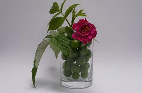 A glass of grapes Stock Photos