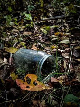Glass in grass 写真素材