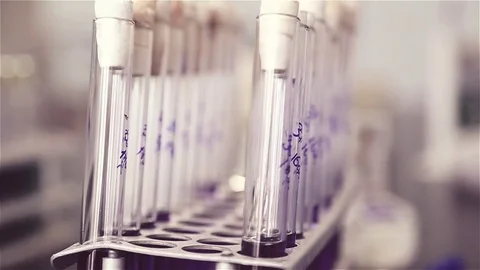 Glass high test tubes with colored liquid stand on table in the laboratory Stock Footage 76142435