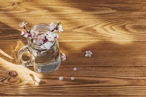 Glass jar with blooming spring branches on wooden table Stock Photos