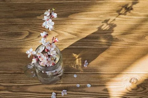 Glass jar with blooming spring branches on wooden table Stock Photos