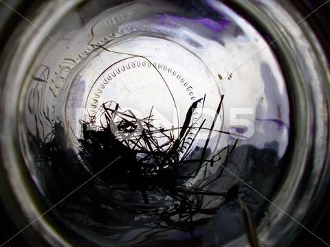Glass jar Stock Photos