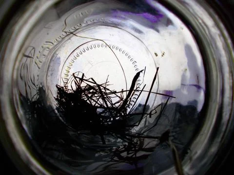 Glass jar Foto stock