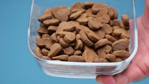 Glass jar releases heart-patterned dog snacks on a plain blue canvas. Celeb.. Stock Footage 255642452
